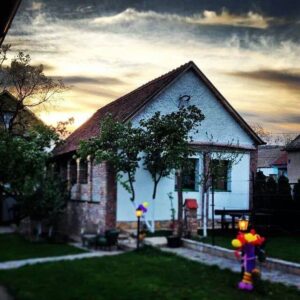 Restoran „Ilkićev kućerak u sremu“